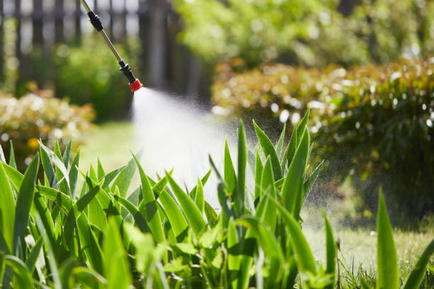 24/7 Emergency Rodent Control experts in Kealakekua, HI