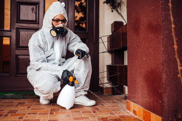 Reliable Rodent Control contractor in Kealakekua, HI by Nex Pest Control