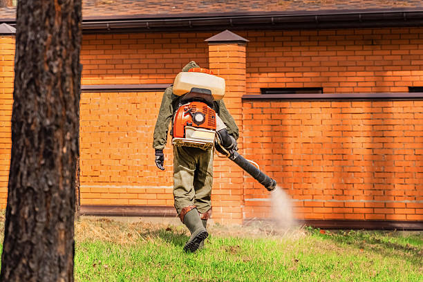 Trusted Termite Control service in Kealakekua, HI - Nex Pest Control